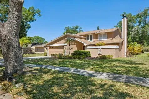 3103 Taragrove Drive Tampa FL 33618