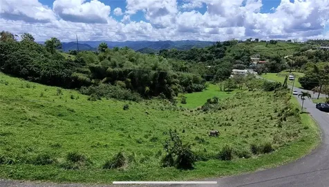 Pr 749 Km 0.2 Lot 3 Quebrada Grande Wd Barranquitas PR 00794