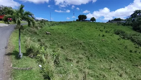 Pr 749 Km 0.2 Lot 3 Quebrada Grande Wd Barranquitas PR 00794