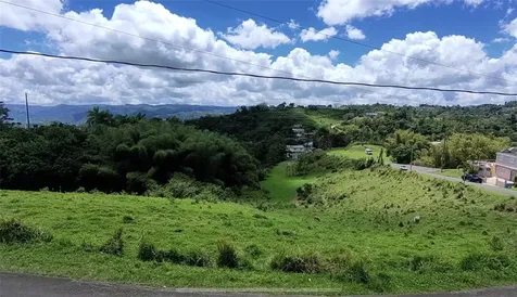 Pr 749 Km 0.2 Lot 3 Quebrada Grande Wd Barranquitas PR 00794