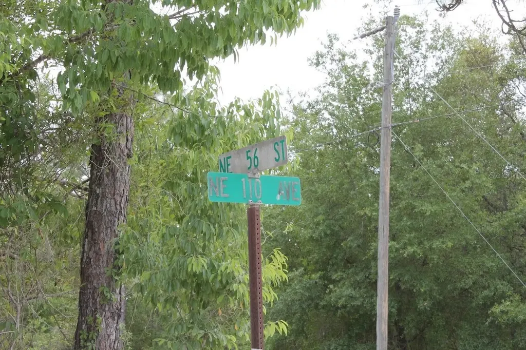 NE 56th Street Bronson FL 32621