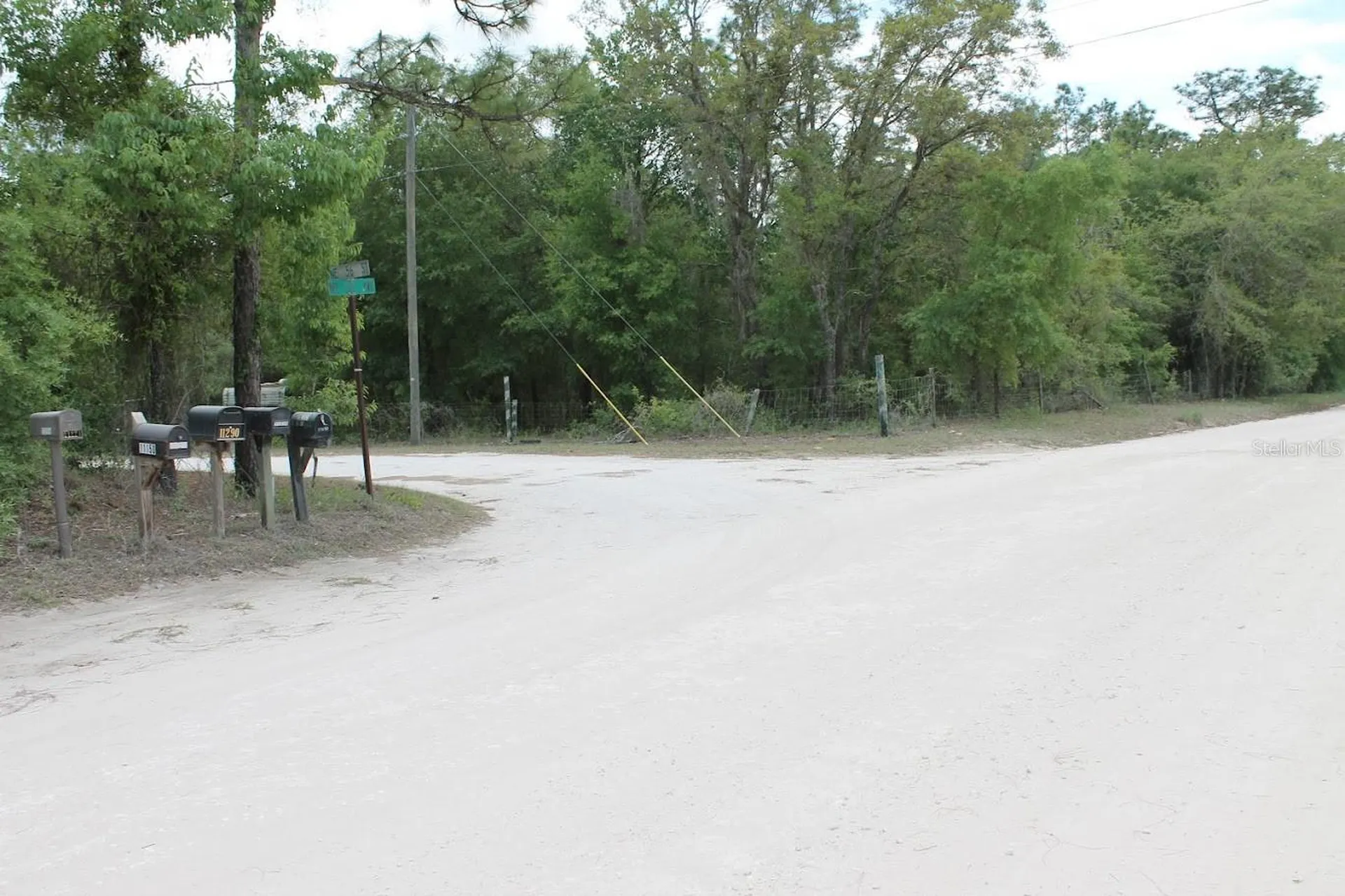 NE 56th Street Bronson FL 32621