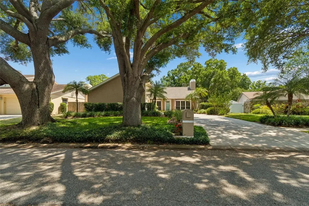 3104 Tarabrook Drive Tampa FL 33618