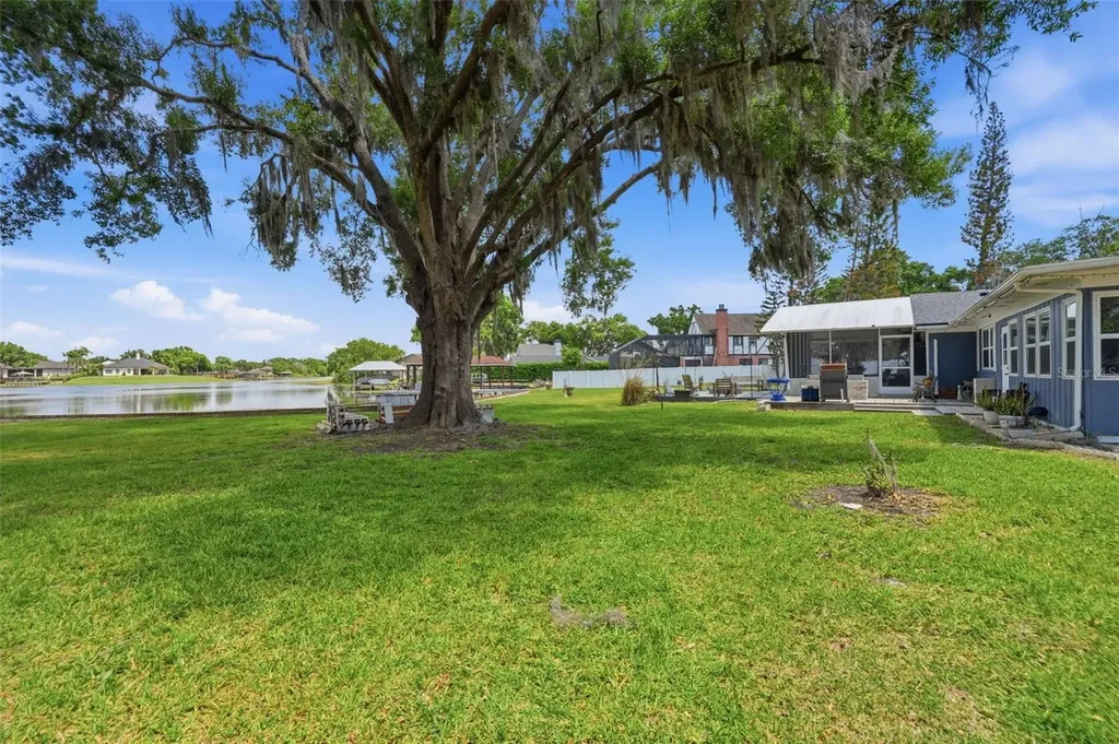3678 E Lake Drive Land O Lakes FL 34639