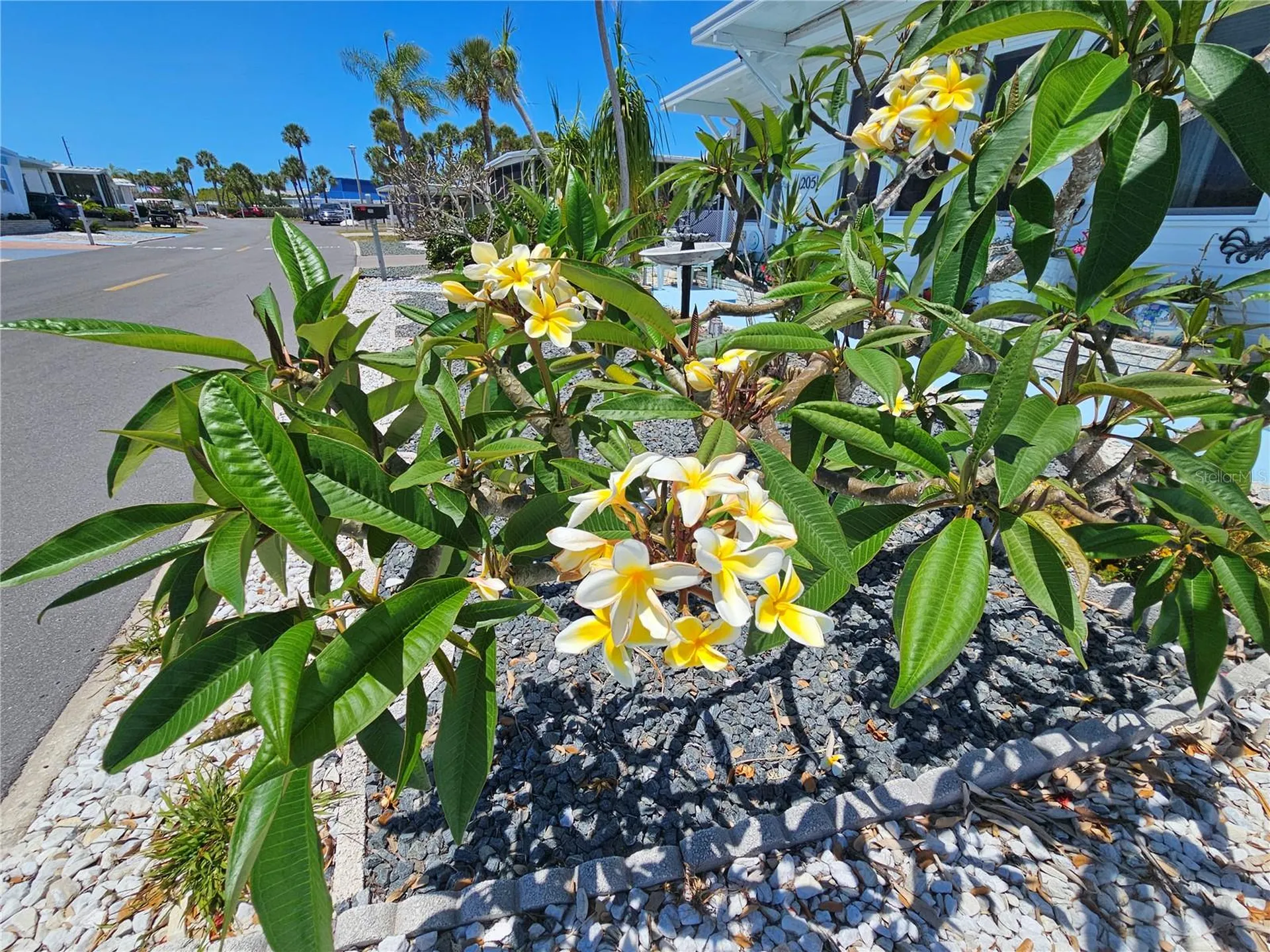 205 Via Veneto Venice FL 34285
