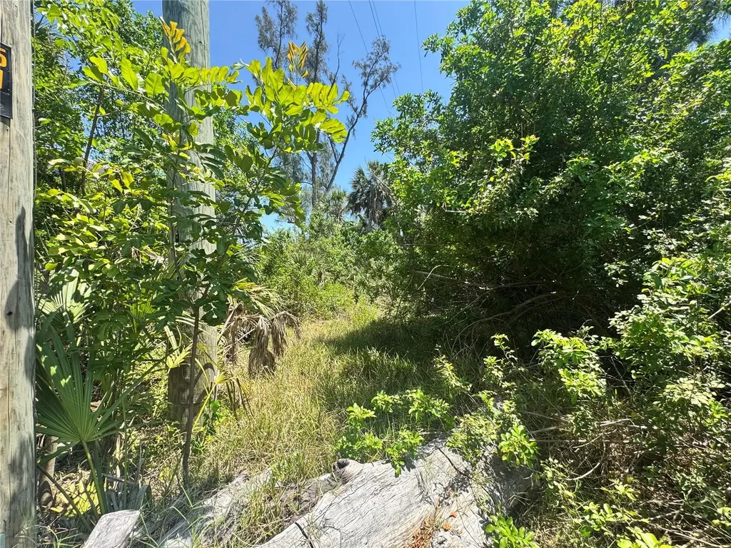 8992 Seagrape Lane Placida FL 33946