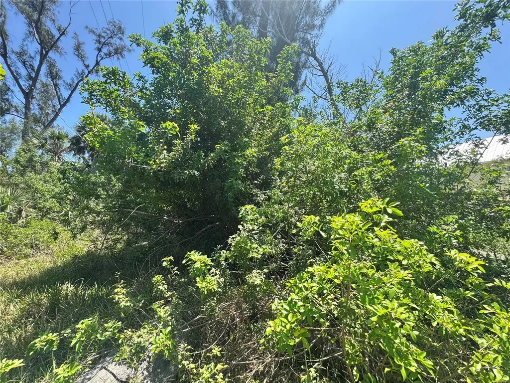 8992 Seagrape Lane Placida FL 33946