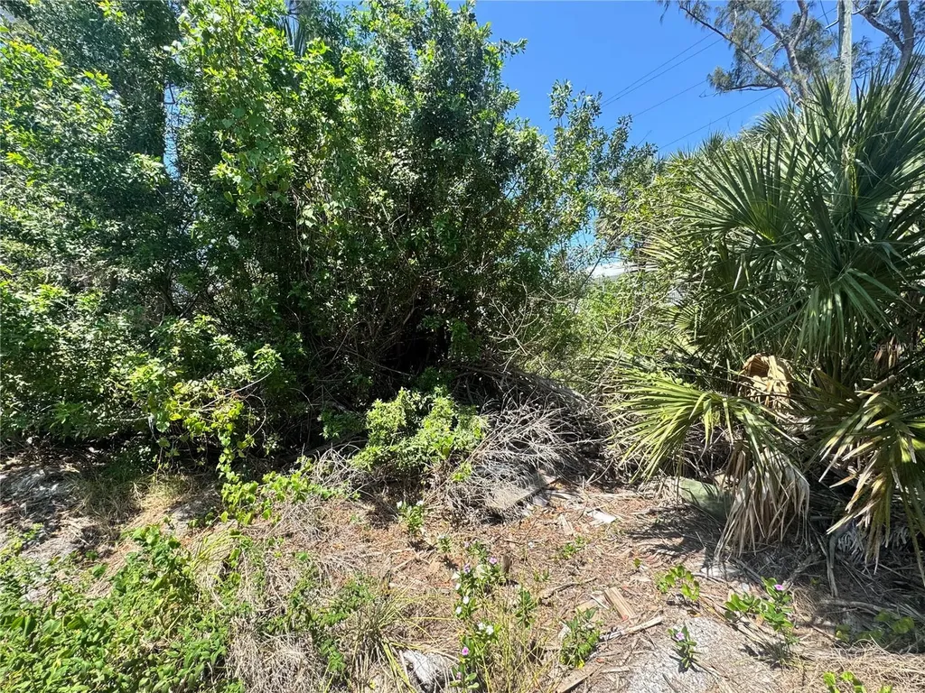 8992 Seagrape Lane Placida FL 33946