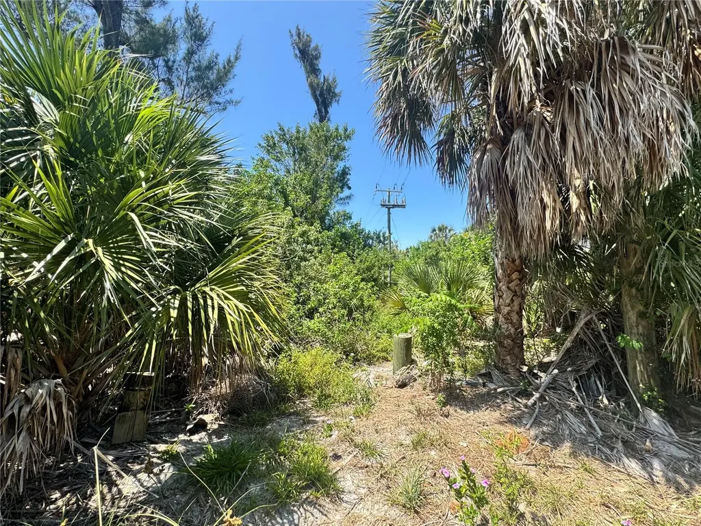 8992 Seagrape Lane Placida FL 33946