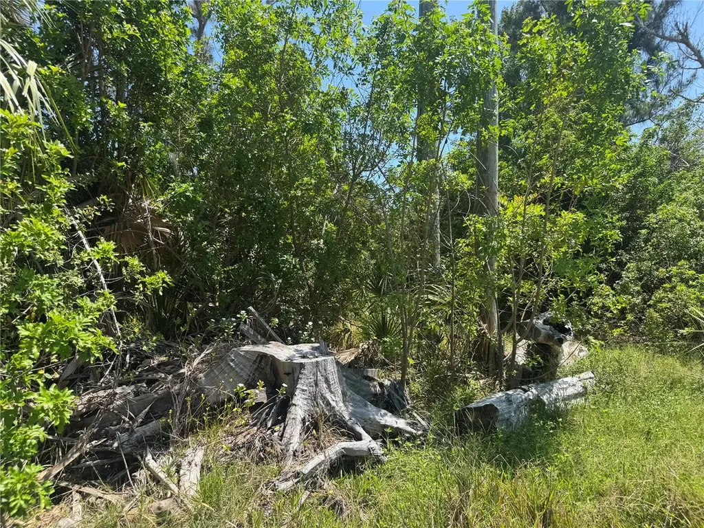 8992 Seagrape Lane Placida FL 33946