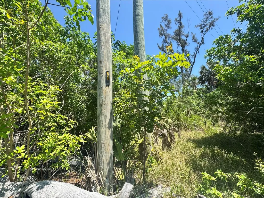 8992 Seagrape Lane Placida FL 33946