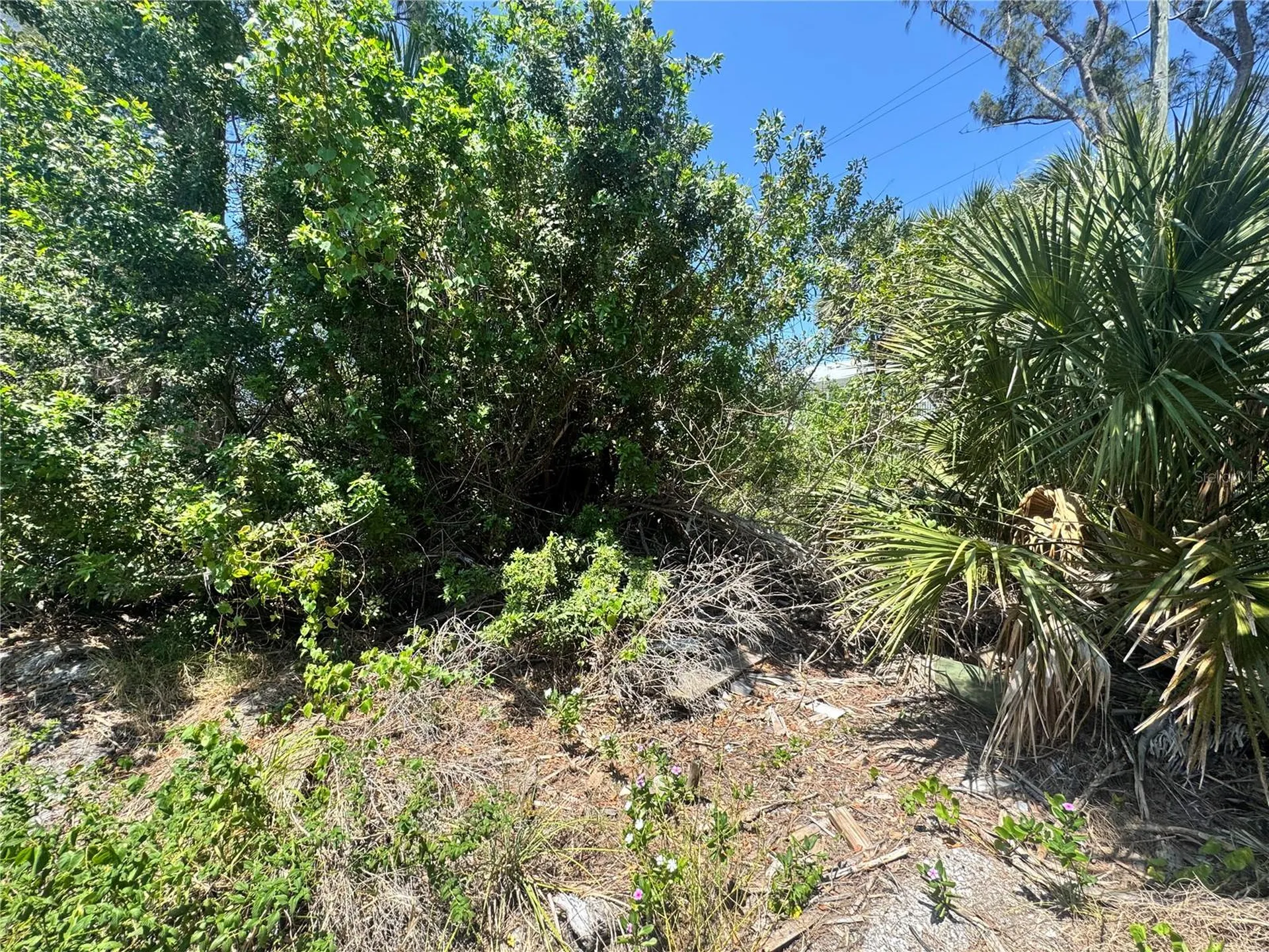 8992 Seagrape Lane Placida FL 33946