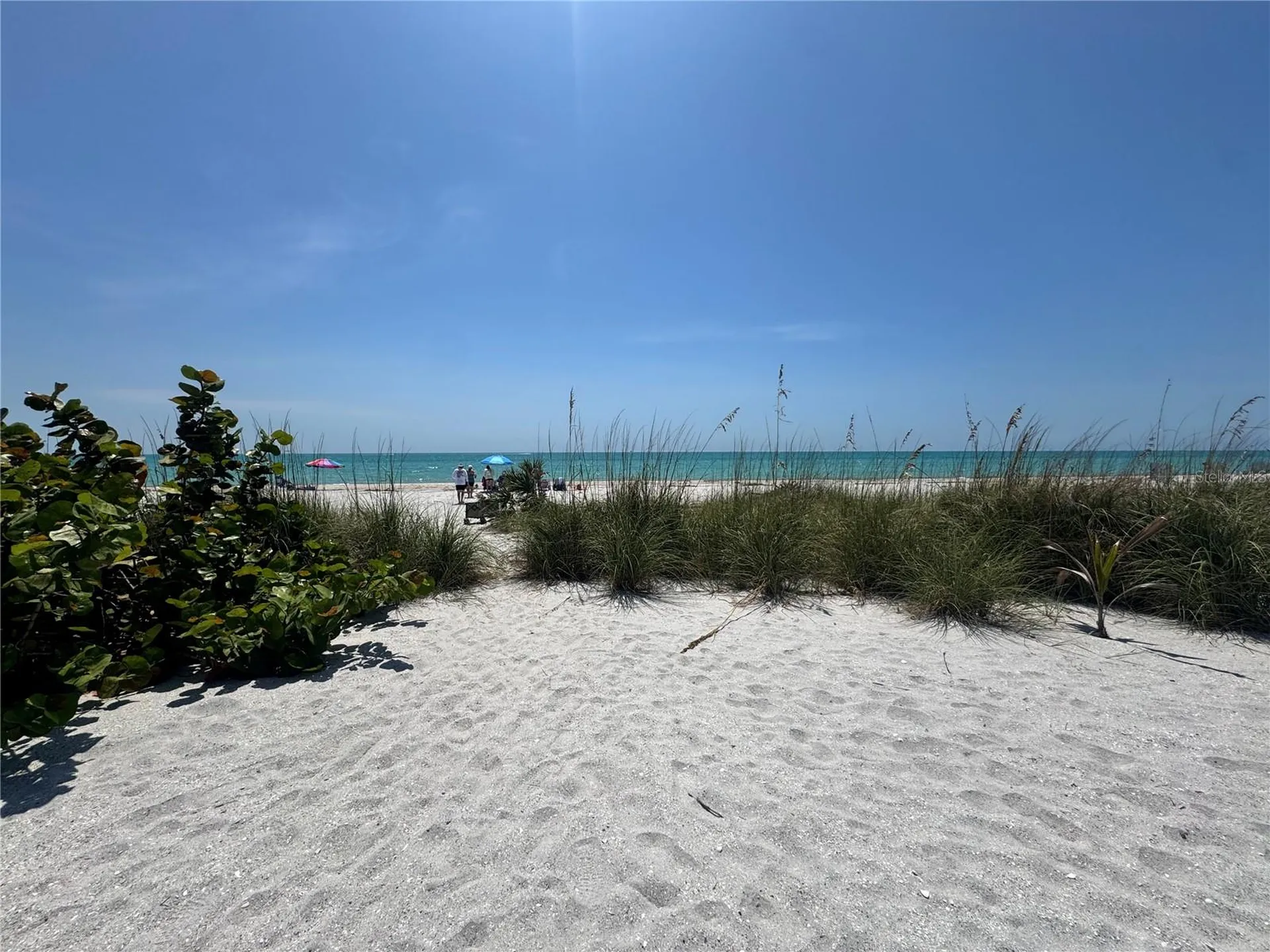 8992 Seagrape Lane Placida FL 33946