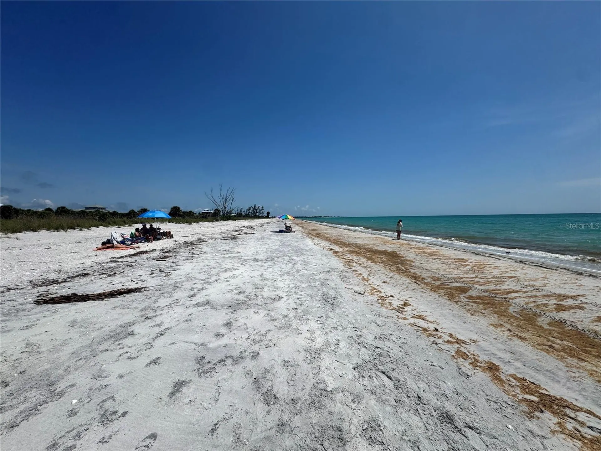 8992 Seagrape Lane Placida FL 33946