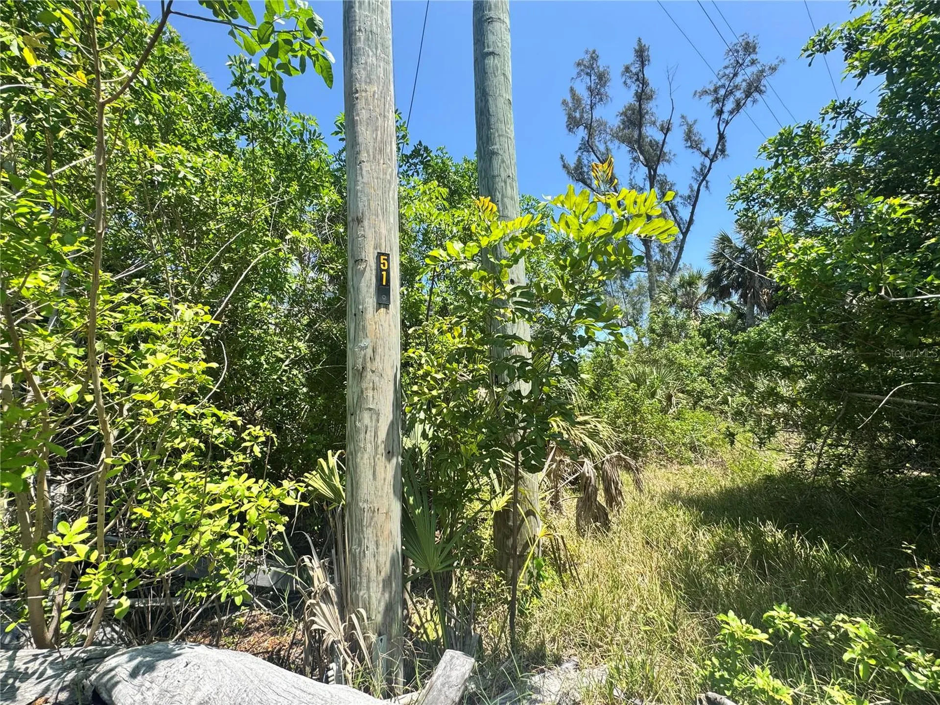 8992 Seagrape Lane Placida FL 33946