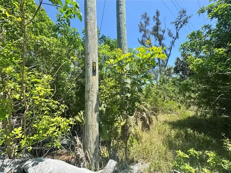 8992 Seagrape Lane Placida FL 33946