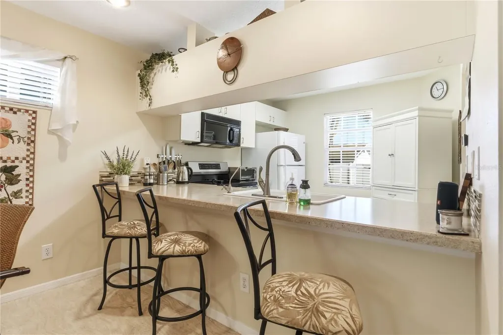9034 Lake Place Lane Tampa FL 33634