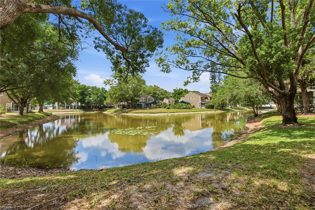9034 Lake Place Lane Tampa FL 33634