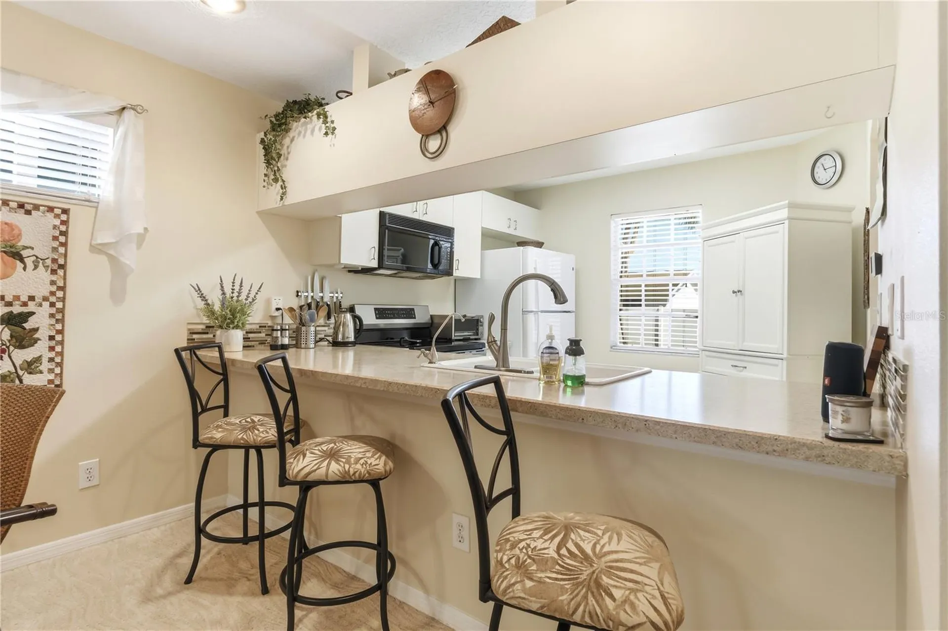 9034 Lake Place Lane Tampa FL 33634