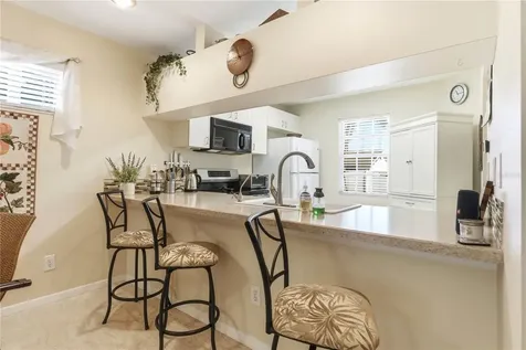9034 Lake Place Lane Tampa FL 33634