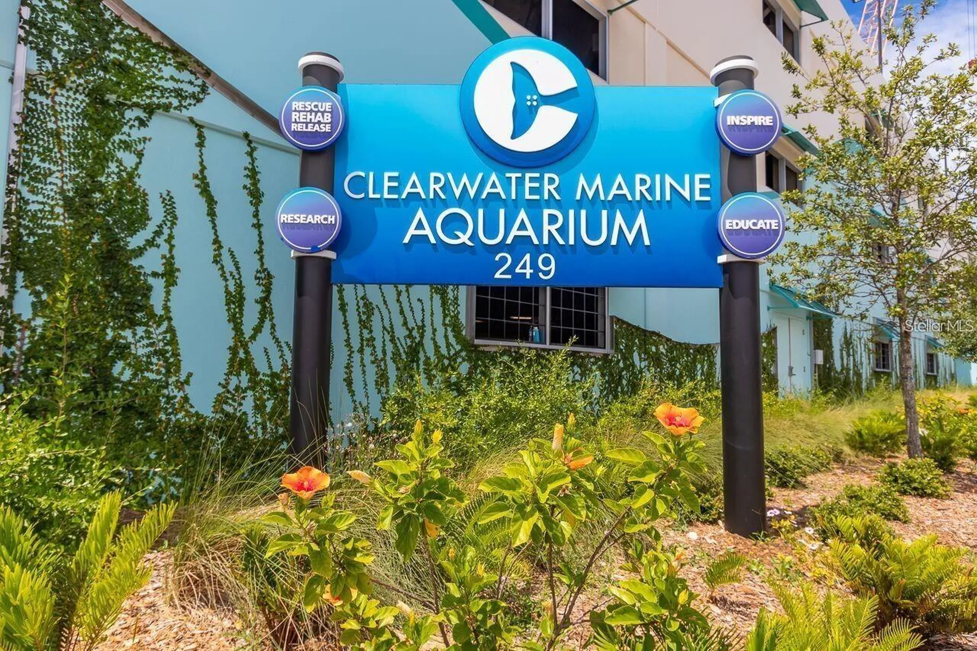 736 Island Way Clearwater FL 33767