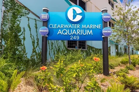 736 Island Way Clearwater FL 33767