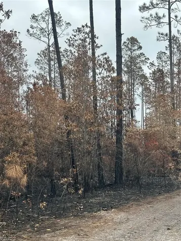 TBD NW 2nd Avenue Palatka FL 32177