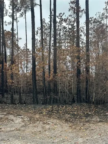TBD NW 2nd Avenue Palatka FL 32177