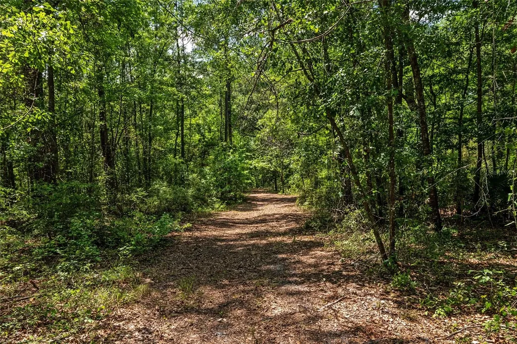 4814 NW 244 Avenue Alachua FL 32615