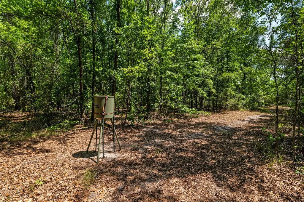 4814 NW 244 Avenue Alachua FL 32615