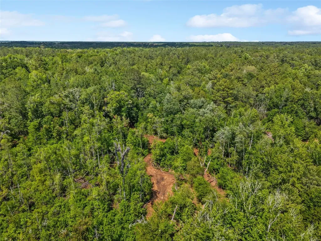 4814 NW 244 Avenue Alachua FL 32615