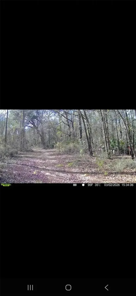 4814 NW 244 Avenue Alachua FL 32615