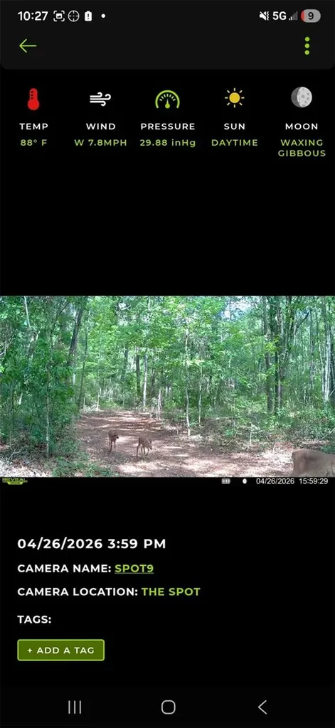 4814 NW 244 Avenue Alachua FL 32615