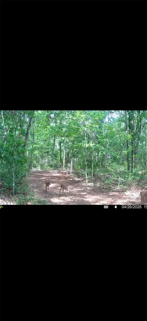 4814 NW 244 Avenue Alachua FL 32615