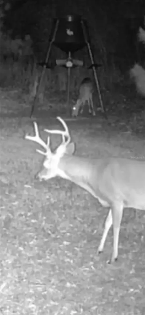 4814 NW 244 Avenue Alachua FL 32615