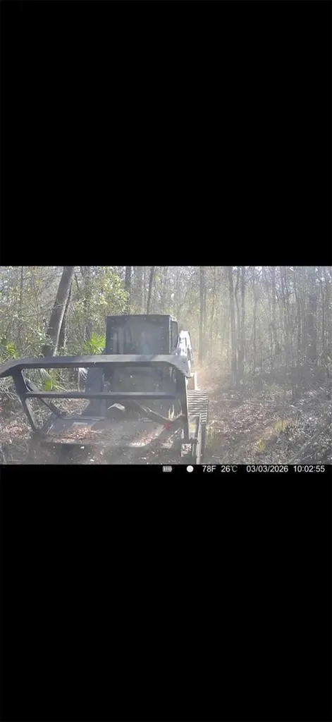 4814 NW 244 Avenue Alachua FL 32615