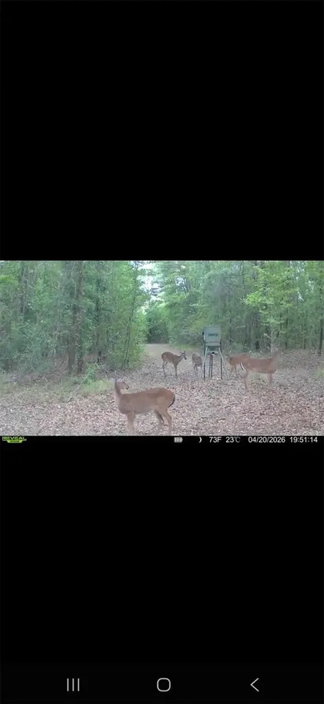 4814 NW 244 Avenue Alachua FL 32615