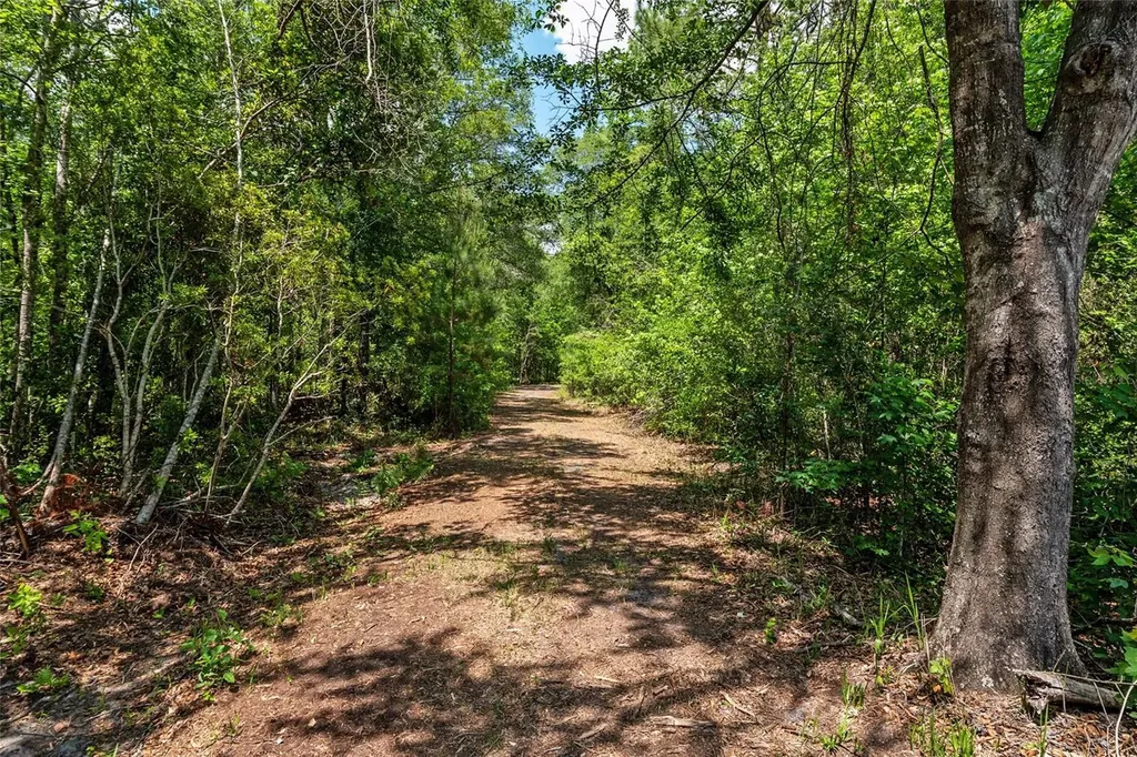 4814 NW 244 Avenue Alachua FL 32615