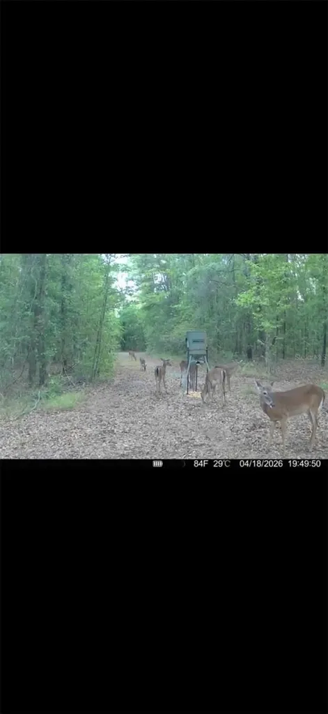 4814 NW 244 Avenue Alachua FL 32615