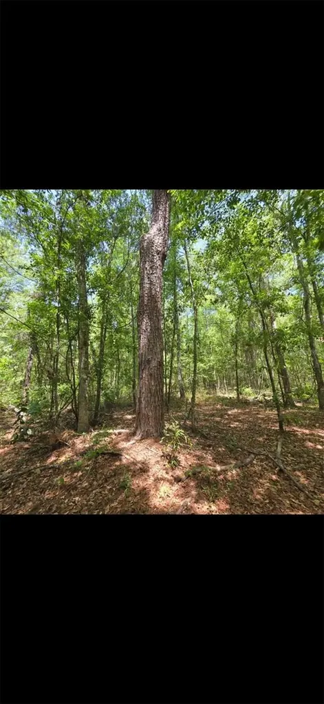 4814 NW 244 Avenue Alachua FL 32615