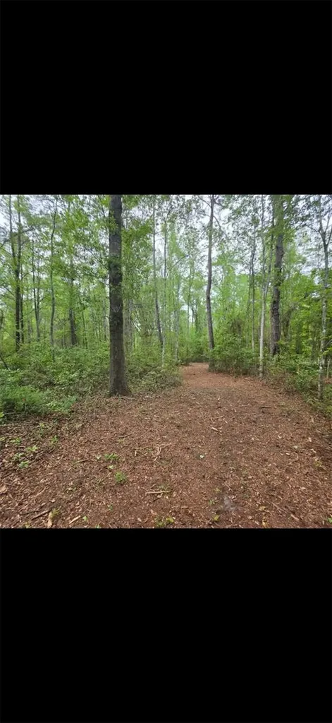 4814 NW 244 Avenue Alachua FL 32615