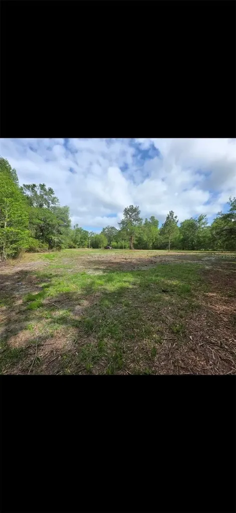 4814 NW 244 Avenue Alachua FL 32615