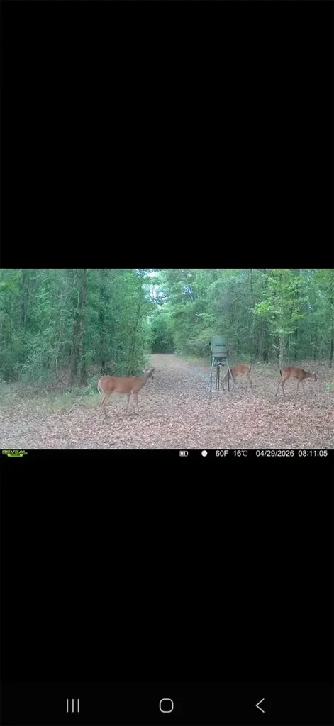 4814 NW 244 Avenue Alachua FL 32615