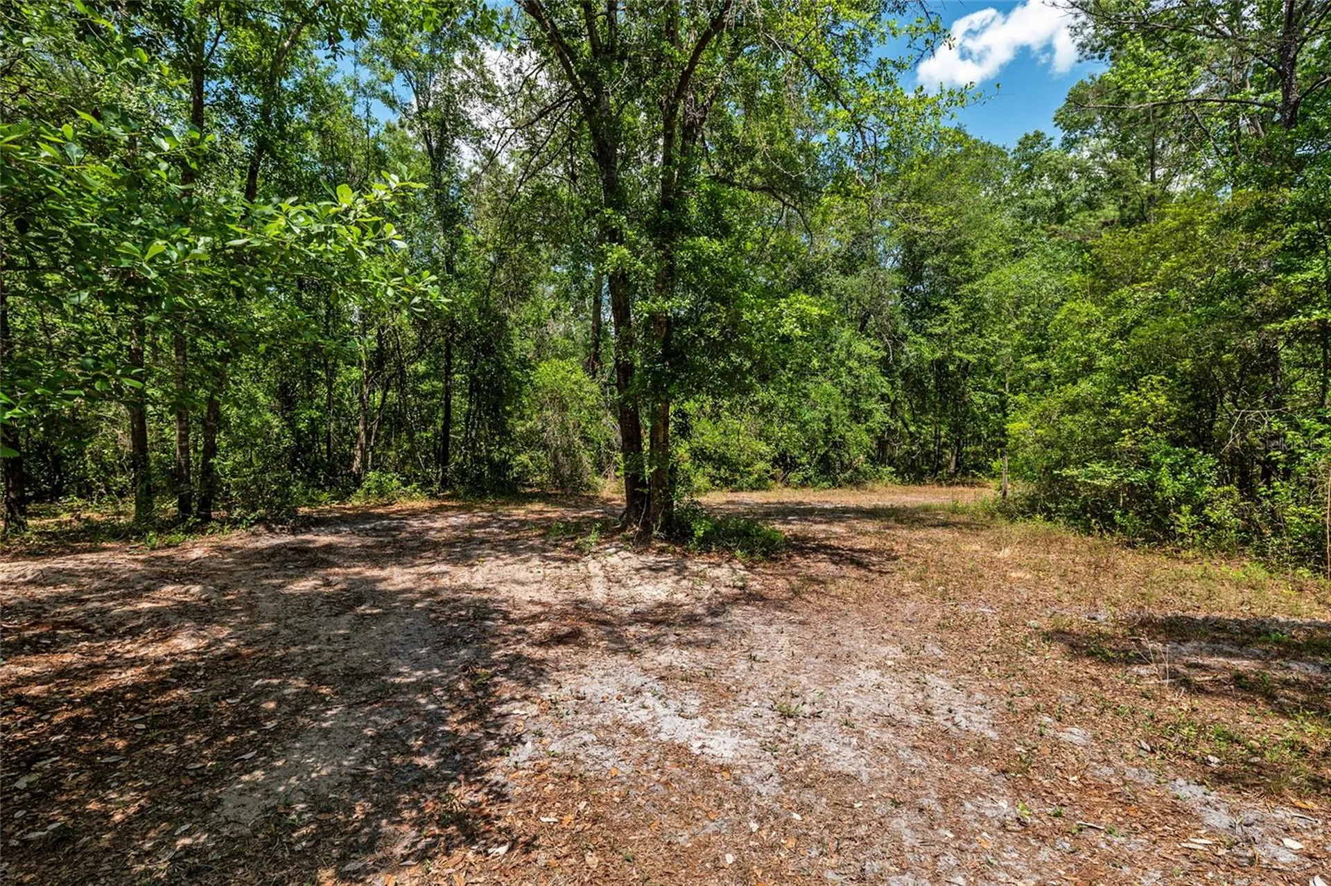 4814 NW 244 Avenue Alachua FL 32615