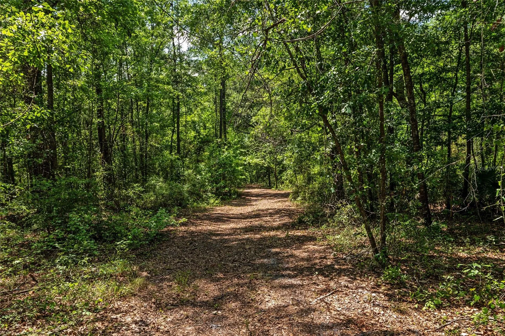 4814 NW 244 Avenue Alachua FL 32615