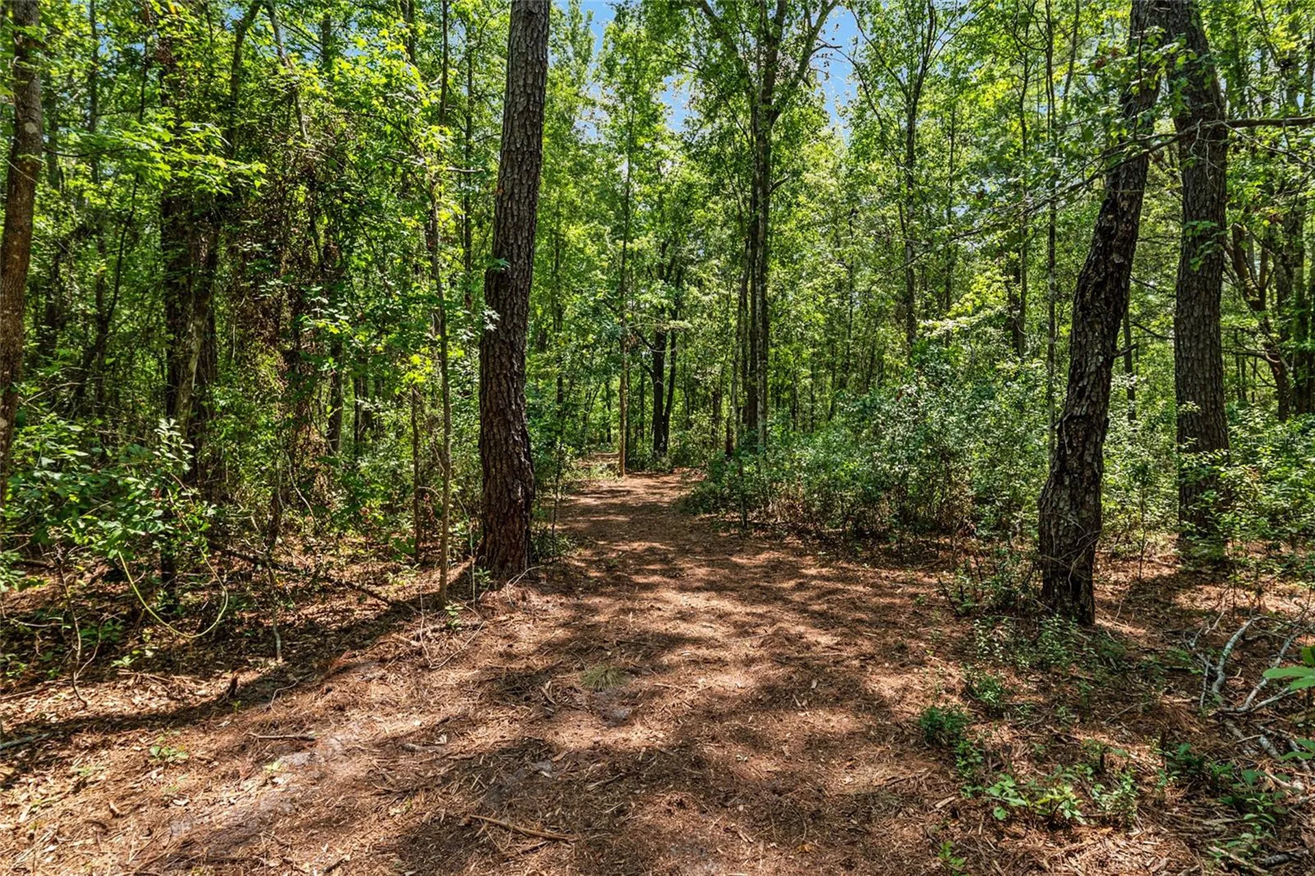 4814 NW 244 Avenue Alachua FL 32615