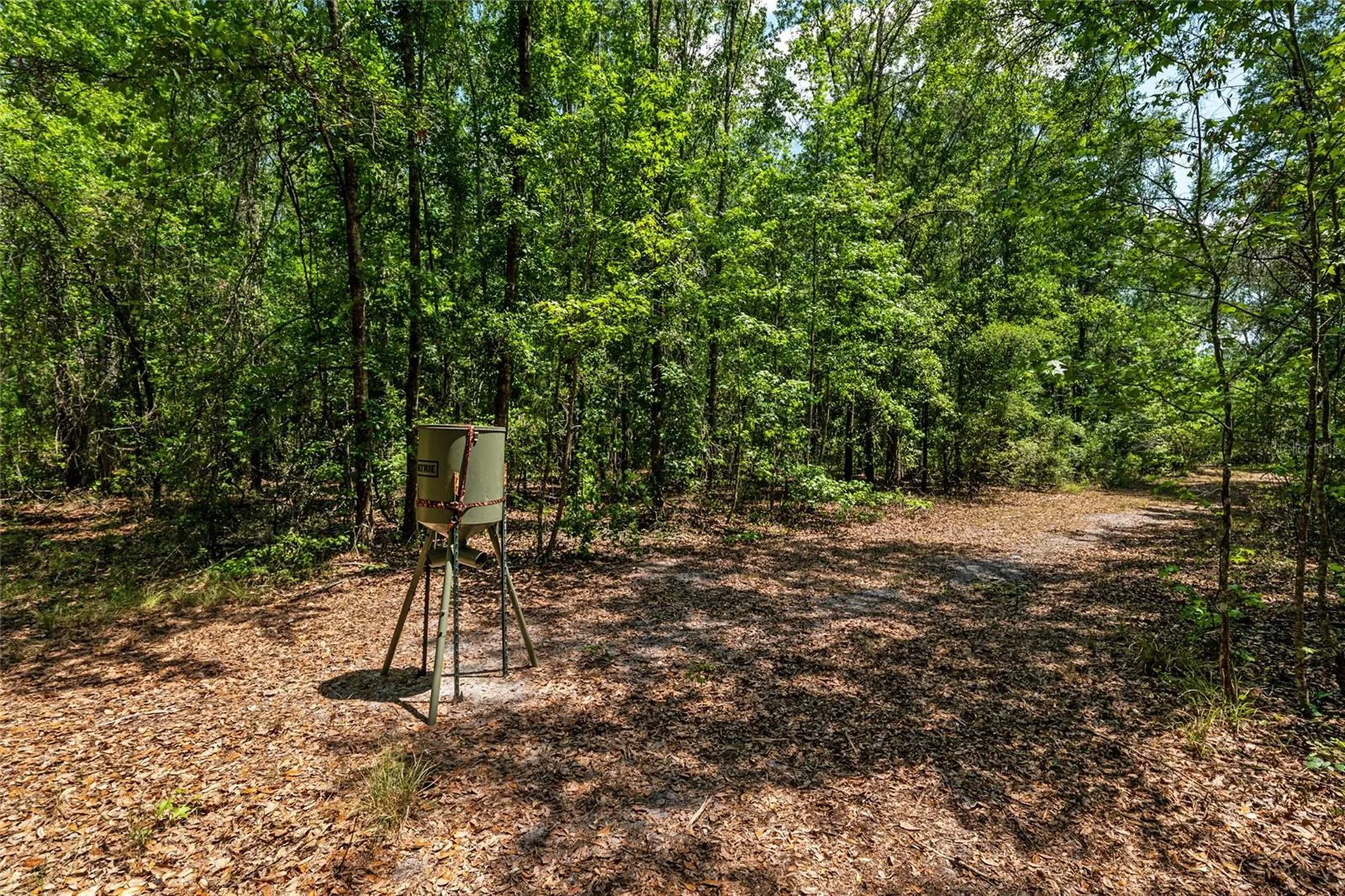 4814 NW 244 Avenue Alachua FL 32615