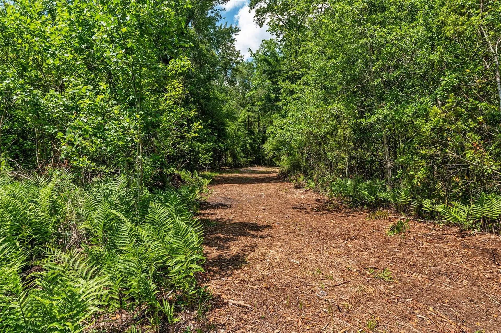 4814 NW 244 Avenue Alachua FL 32615