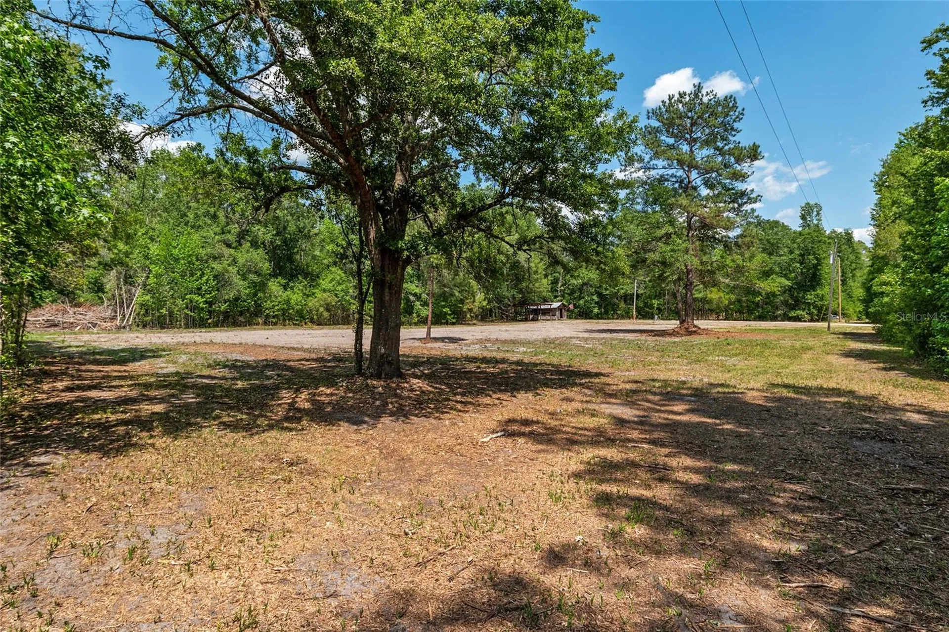4814 NW 244 Avenue Alachua FL 32615
