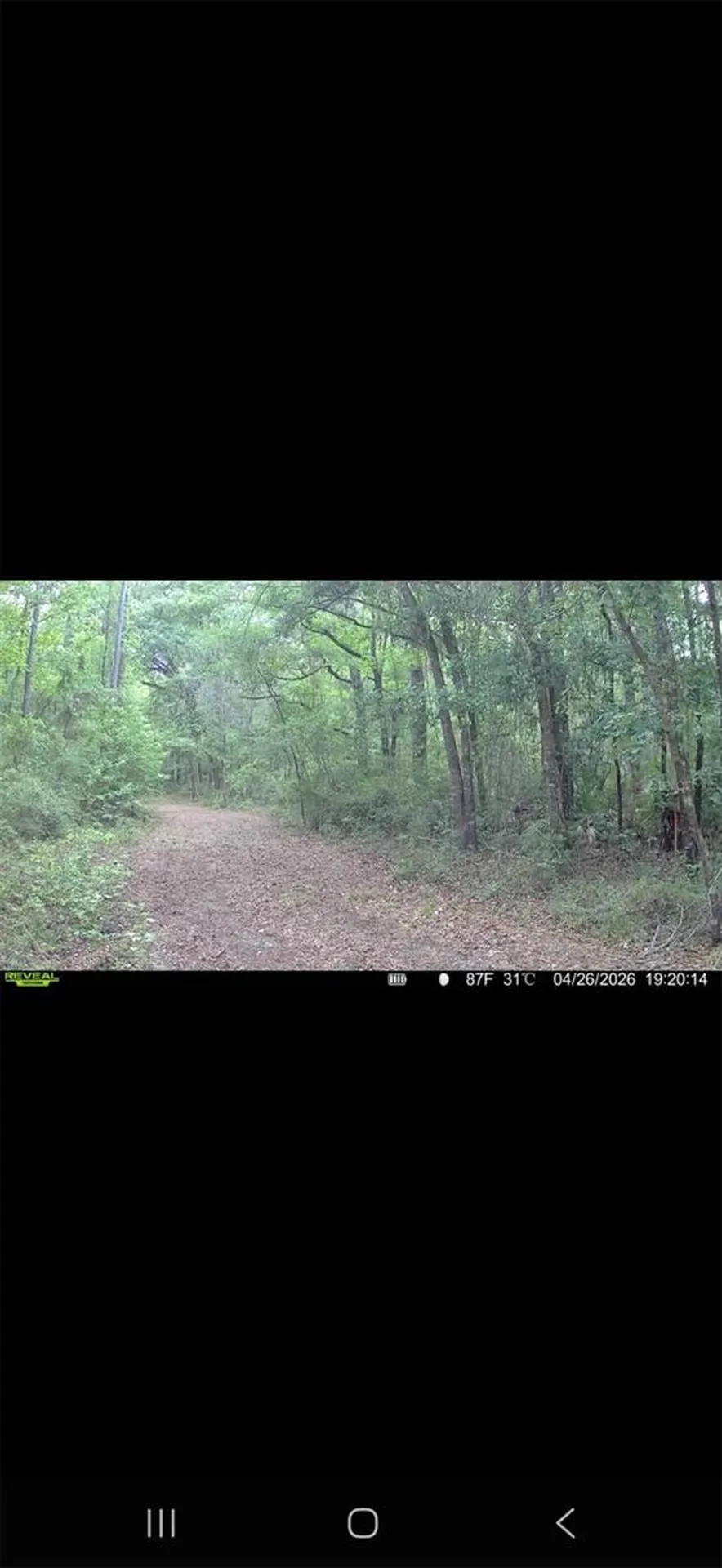 4814 NW 244 Avenue Alachua FL 32615